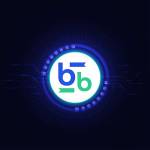Bitbse Exchange Profile Picture