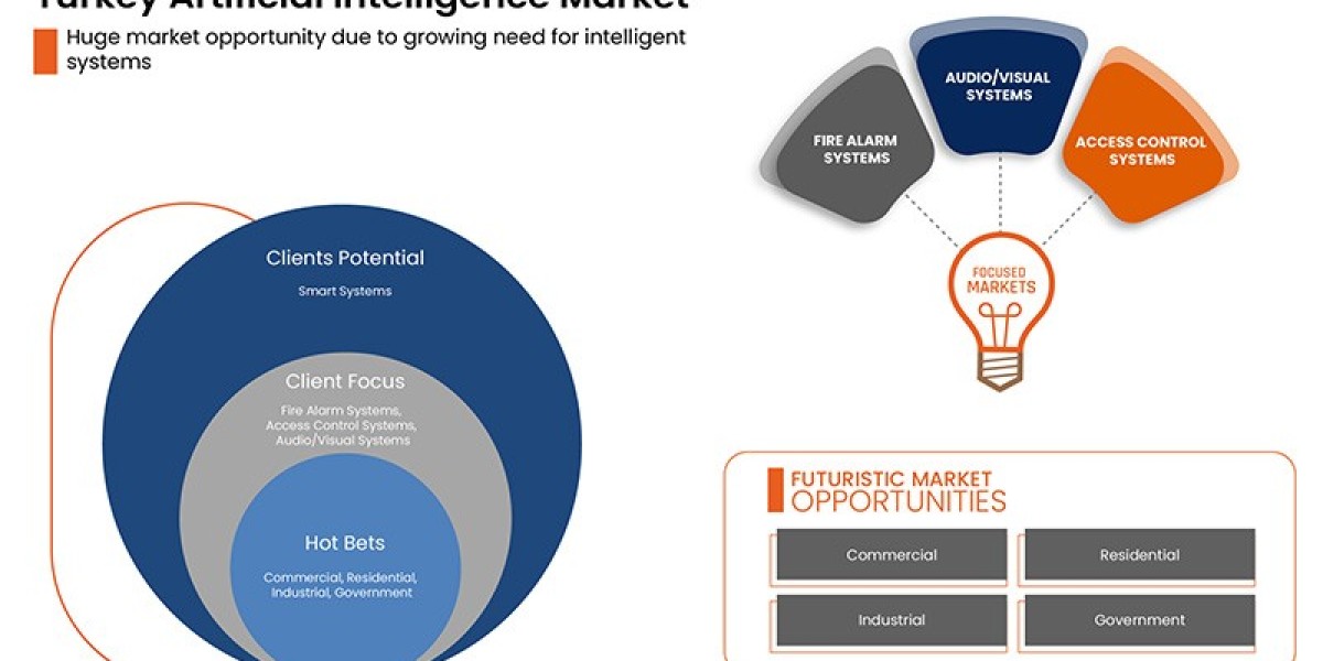 Turkey Artificial Intelligence Market Adoption Trends Investments and Innovation