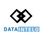 DataIntelo Consulting Profile Picture