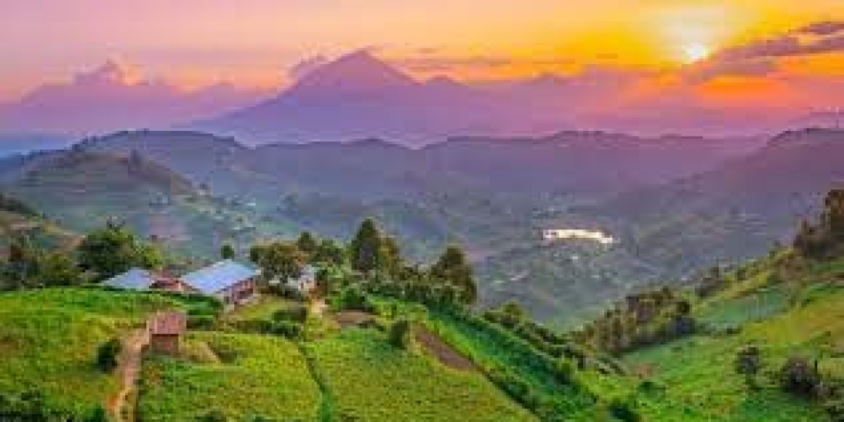 Uganda eVisa Requirements: What Documents Are Needed to Apply?