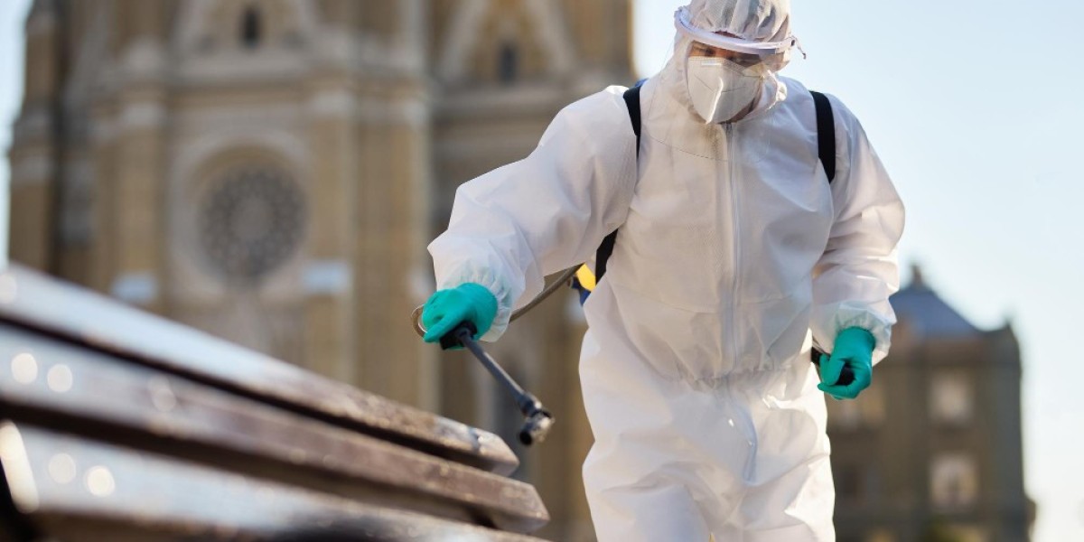 Pest Control in Brampton: A Complete Homeowner’s Guide (2025 Edition)